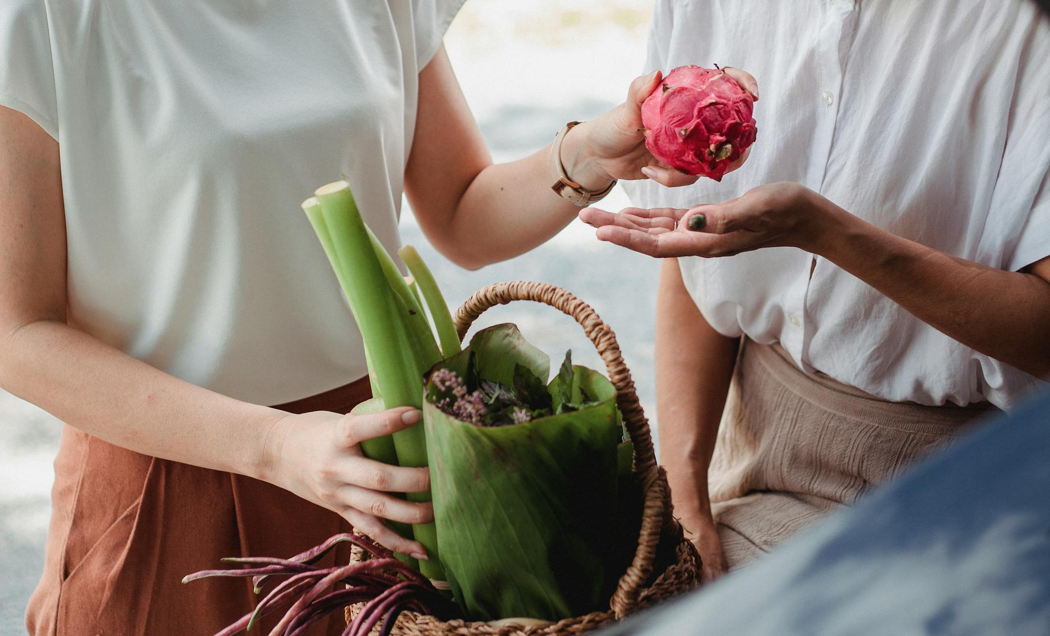 Crop unrecognizable female with basket full of green vegetables and herbs passing ripe pitaya to partner